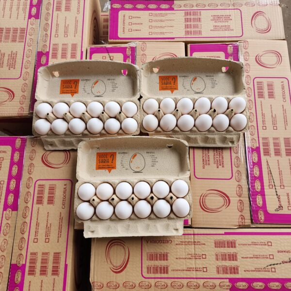OVOS BRANCO EXTRA EMBALADO KEROVOS