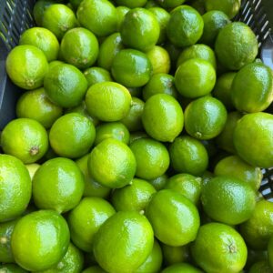 Limão Taiti