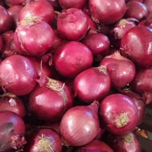 Cebola Roxa