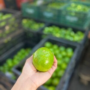 LIMÃO TAITI